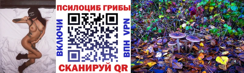 Псилоцибиновые грибы мицелий ссылка на мегу ССЫЛКА Староминская